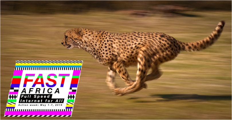 FAST cheetah